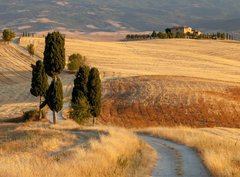 Fototapeta330 x 244  Tuscan countryside at sunset, near Pienza, Tuscany, Italy, 330 x 244 cm