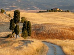 Fototapeta pltno 330 x 244, 44861103 - Tuscan countryside at sunset, near Pienza, Tuscany, Italy