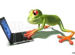 Samolepka flie 100 x 73, 4498529 - Grenouille devant un ordinateur portable - Grenouille pochz z penosnho penosnho potae