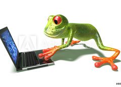 Fototapeta plátno 160 x 116, 4498529 - Grenouille devant un ordinateur portable - Grenouille pochází z přenosného přenosného počítače