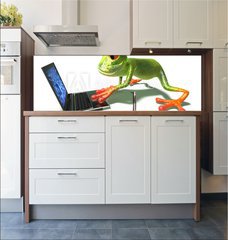 Fototapeta do kuchyn flie 180 x 60  Grenouille devant un ordinateur portable, 180 x 60 cm