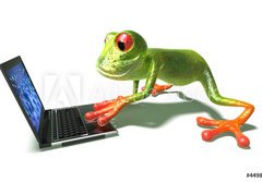 Fototapeta184 x 128  Grenouille devant un ordinateur portable, 184 x 128 cm