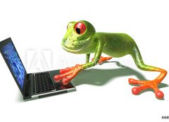 Fototapeta vliesov 200 x 144, 4498529 - Grenouille devant un ordinateur portable