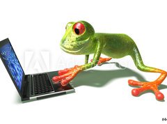 Fototapeta vliesov 270 x 200, 4498529 - Grenouille devant un ordinateur portable