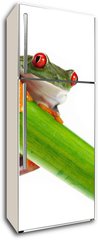 Samolepka na lednici flie 80 x 200  Green Frog with red eye., 80 x 200 cm