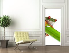 Samolepka na dvee flie 90 x 220, 45097873 - Green Frog with red eye. - Zelen ba s ervenm okem.