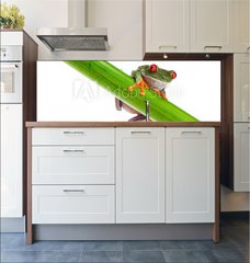 Fototapeta do kuchyn flie 180 x 60, 45099482 - Green Frog with red eye. - Zelen ba s ervenm okem.