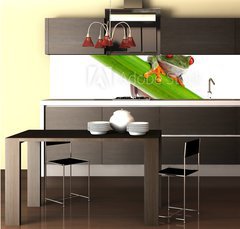 Fototapeta do kuchyn flie 260 x 60  Green Frog with red eye., 260 x 60 cm