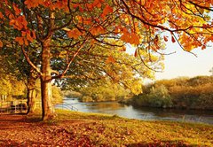 Samolepka flie 145 x 100, 45108931 - Beautiful Autumn in the park - Krsn podzim v parku