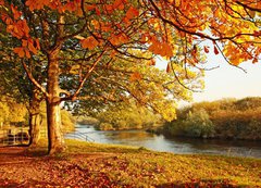 Fototapeta200 x 144  Beautiful Autumn in the park, 200 x 144 cm