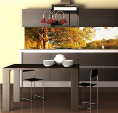 Fototapeta do kuchyn flie 260 x 60, 45108931 - Beautiful Autumn in the park