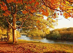 Fototapeta330 x 244  Beautiful Autumn in the park, 330 x 244 cm