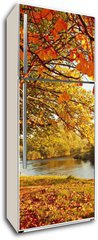 Samolepka na lednici flie 80 x 200  Beautiful Autumn in the park, 80 x 200 cm