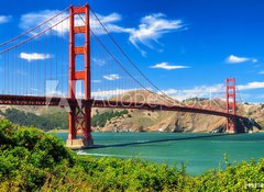 Fototapeta100 x 73  Golden gate bridge vivid day landscape, San Francisco, 100 x 73 cm