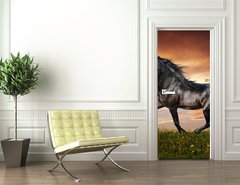 Samolepka na dvee flie 90 x 220  Black Friesian horse trot, 90 x 220 cm