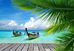 Samolepka flie 145 x 100  tropical sea, 145 x 100 cm
