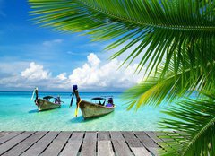 Fototapeta pltno 240 x 174, 45220850 - tropical sea - tropick moe