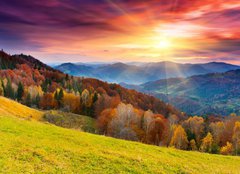 Fototapeta pltno 240 x 174, 45387247 - autumn - podzim