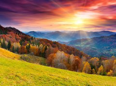 Samolepka flie 270 x 200, 45387247 - autumn - podzim
