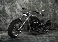 Samolepka flie 200 x 144, 45686812 - Custom Motorbike