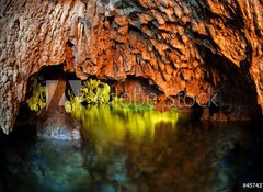 Samolepka flie 100 x 73, 45743759 - Cenote, underwater cave, Yucatan - Cenote, podvodn jeskyn, Yucatan