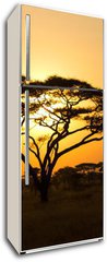 Samolepka na lednici flie 80 x 200, 45762183 - Rising Sun shinning through an Acacia Tree in Serengeti