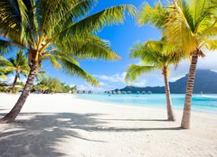 Fototapeta pltno 160 x 116, 45867678 - Bora Bora beach