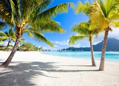 Fototapeta pltno 240 x 174, 45867678 - Bora Bora beach - Pl Bora Bora