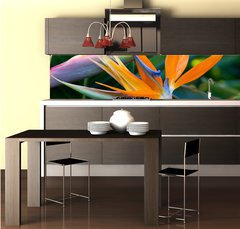 Fototapeta do kuchyn flie 260 x 60  Bird of paradise, 260 x 60 cm