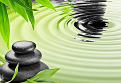 Fototapeta pltno 174 x 120, 46168041 - Growth