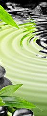 Samolepka na dvee flie 90 x 220, 46168041 - Growth