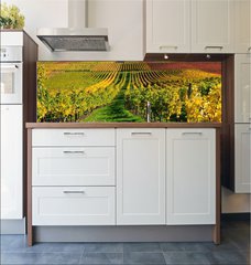 Fototapeta do kuchyn flie 180 x 60  Vineyards in autumn colours. The Rhine valley, Germany, 180 x 60 cm