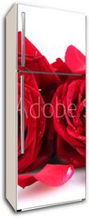 Samolepka na lednici flie 80 x 200, 46400536 - beautiful red roses and petals isolated on white