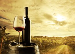 Fototapeta160 x 116  Vineyard at sunset, 160 x 116 cm