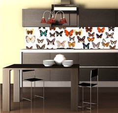 Fototapeta do kuchyn flie 260 x 60  butterflies, 260 x 60 cm