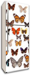 Samolepka na lednici flie 80 x 200  butterflies, 80 x 200 cm