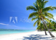 Fototapeta pltno 160 x 116, 46621590 - Mauritius