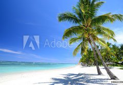 Fototapeta pltno 174 x 120, 46621590 - Mauritius