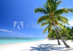 Fototapeta papr 184 x 128, 46621590 - Mauritius