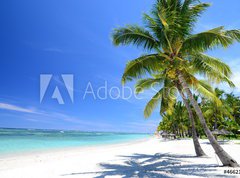 Fototapeta pltno 330 x 244, 46621590 - Mauritius