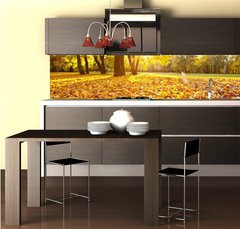 Fototapeta do kuchyn flie 260 x 60, 46662190 - herbsttag