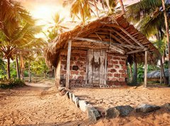 Samolepka flie 270 x 200  Tropical village, 270 x 200 cm