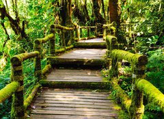 Fototapeta pltno 160 x 116, 46782463 - Wood walkway - Devn chodnk