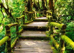 Samolepka flie 200 x 144, 46782463 - Wood walkway - Devn chodnk