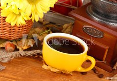 Fototapeta pltno 174 x 120, 46892216 - autumnal composition:coffee grinder, flowers  and leaves