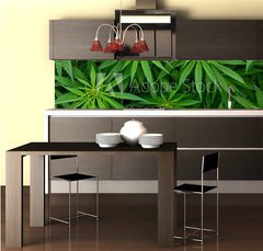 Fototapeta do kuchyn flie 260 x 60  Marijuana, 260 x 60 cm