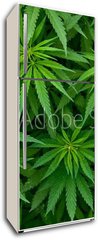 Samolepka na lednici flie 80 x 200  Marijuana, 80 x 200 cm