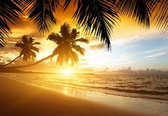Fototapeta174 x 120  sunset on the beach of caribbean sea, 174 x 120 cm