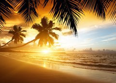 Samolepka flie 200 x 144, 47283055 - sunset on the beach of caribbean sea - zpad slunce na pli karibskho moe