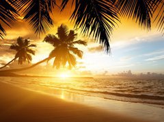 Samolepka flie 270 x 200  sunset on the beach of caribbean sea, 270 x 200 cm